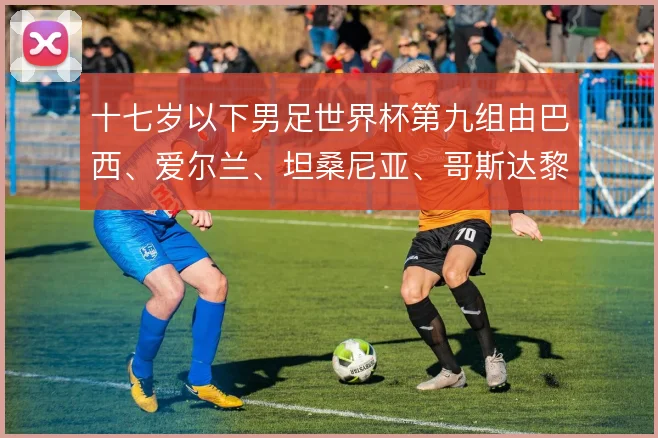十七岁以下男足世界杯第九组由巴西、爱尔兰、坦桑尼亚、哥斯达黎加组成
