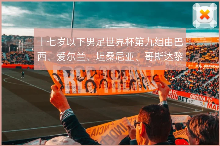 十七岁以下男足世界杯第九组由巴西、爱尔兰、坦桑尼亚、哥斯达黎加组成