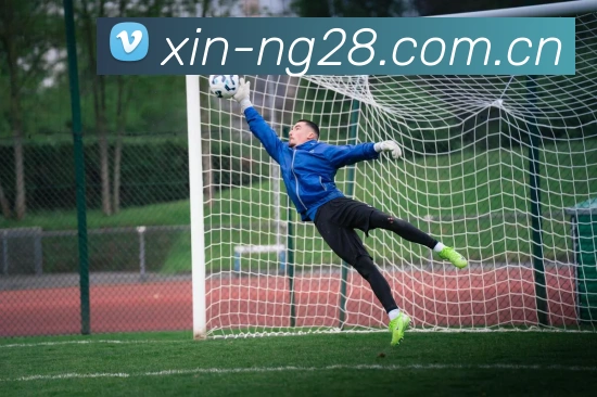 NG28APP 赛事界面图